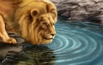 Lejon och ringar på vattnet